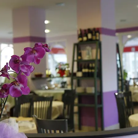 Corallo Hotell Pietra Ligure