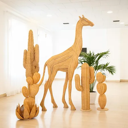 Corallo Hotel Pietra Ligure